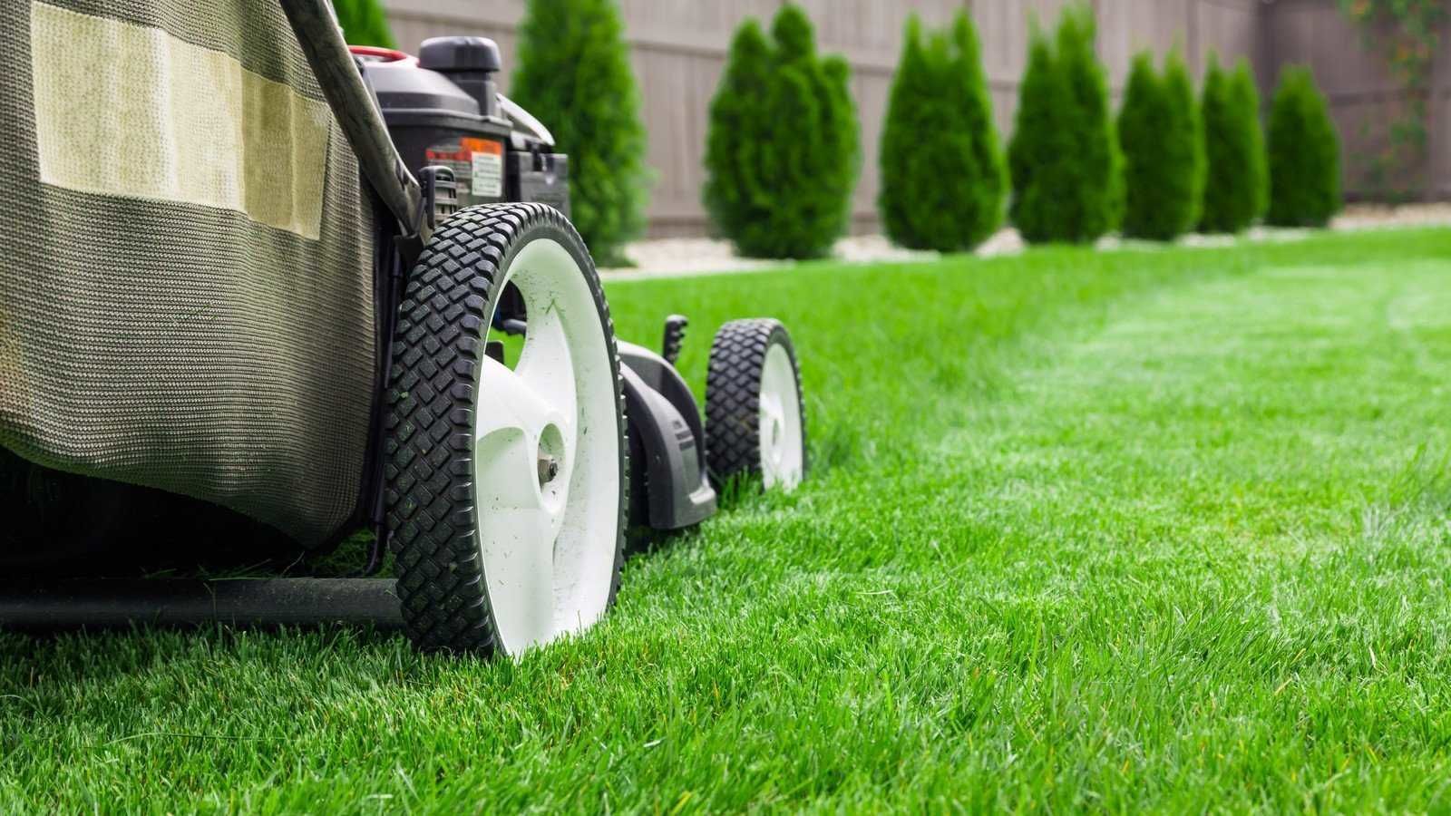 Как правильно стричь газон и ухаживать за газонокосилкой?